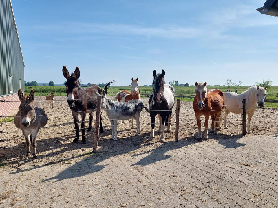 497504344_1275533571247443_6224159782065778068_n